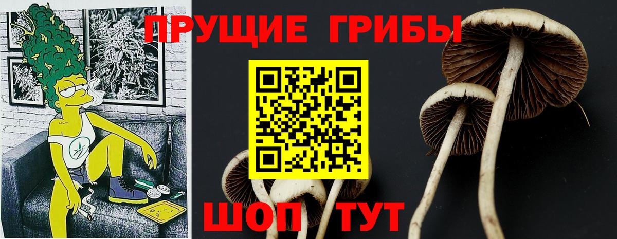 Псилоцибиновые грибы Psilocybine cubensis  Вход с VPN  Галлюциногенные грибы мухоморы  Первоуральск 